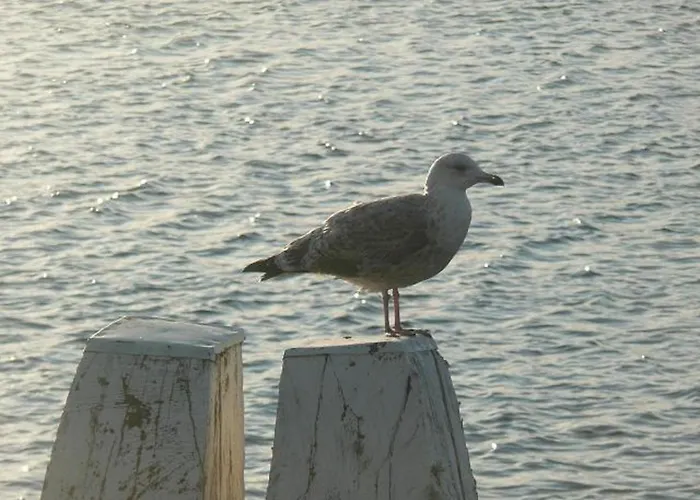 Strandperle-boltenhagen Apartmán *